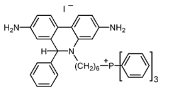 MitoSOX Red Mitochondrial Superoxide Indicator Structure